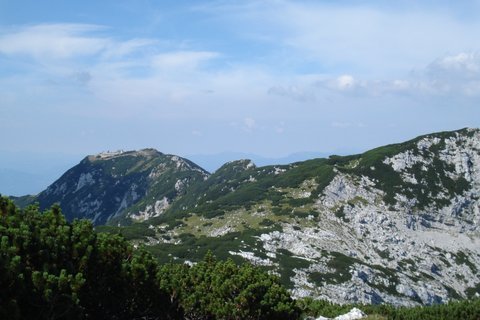 kompotela20.jpg