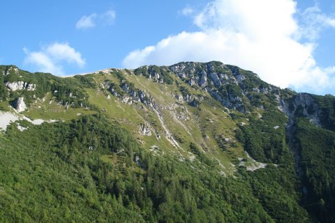 kompotela4.jpg