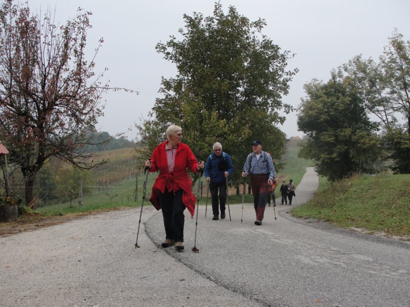 kostanjevica10.jpg
