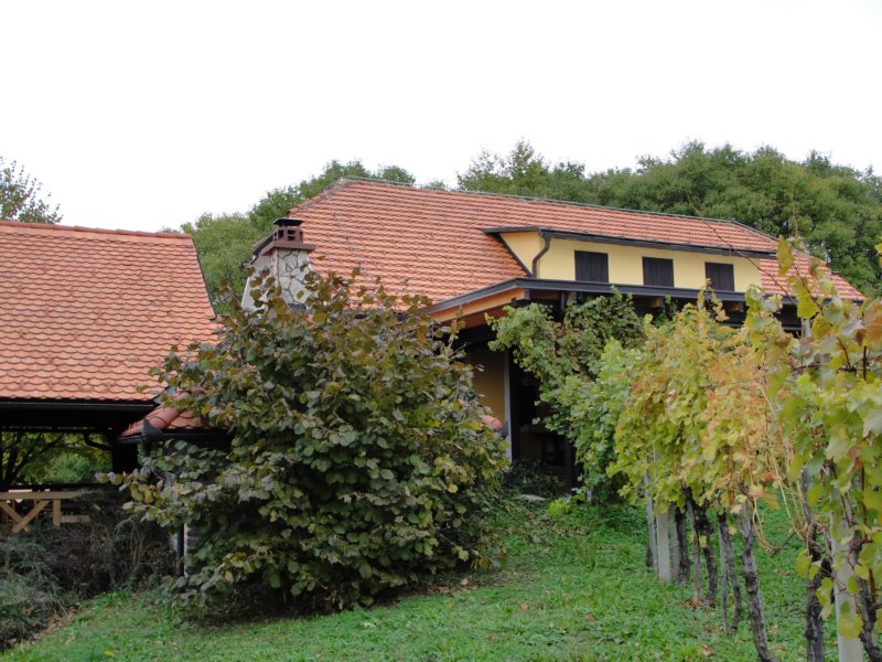 kostanjevica119.jpg
