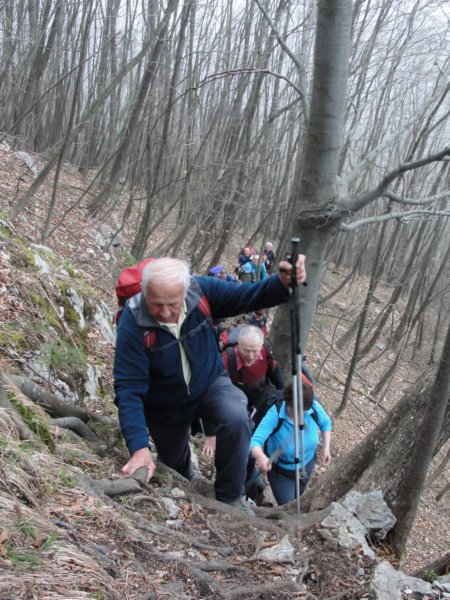 krvavica201313.jpg