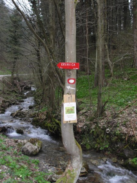 krvavica20132.jpg