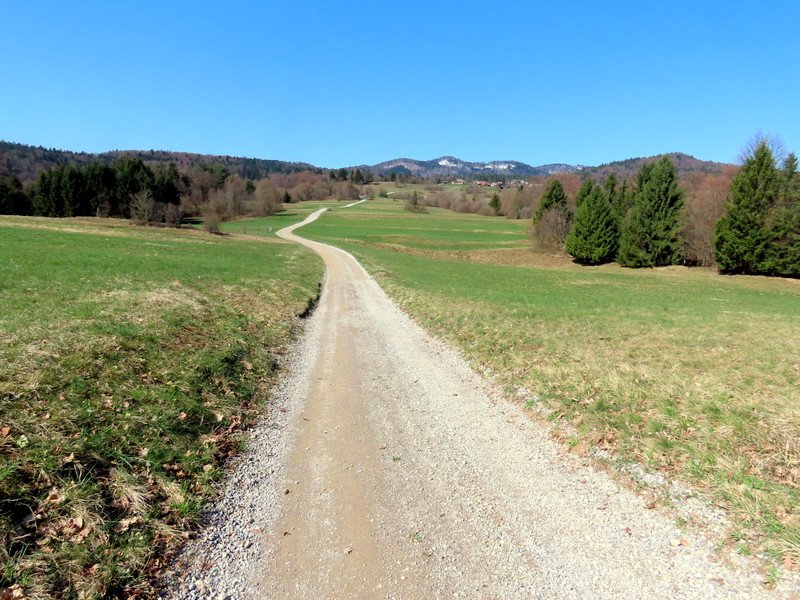 kureek4.jpg