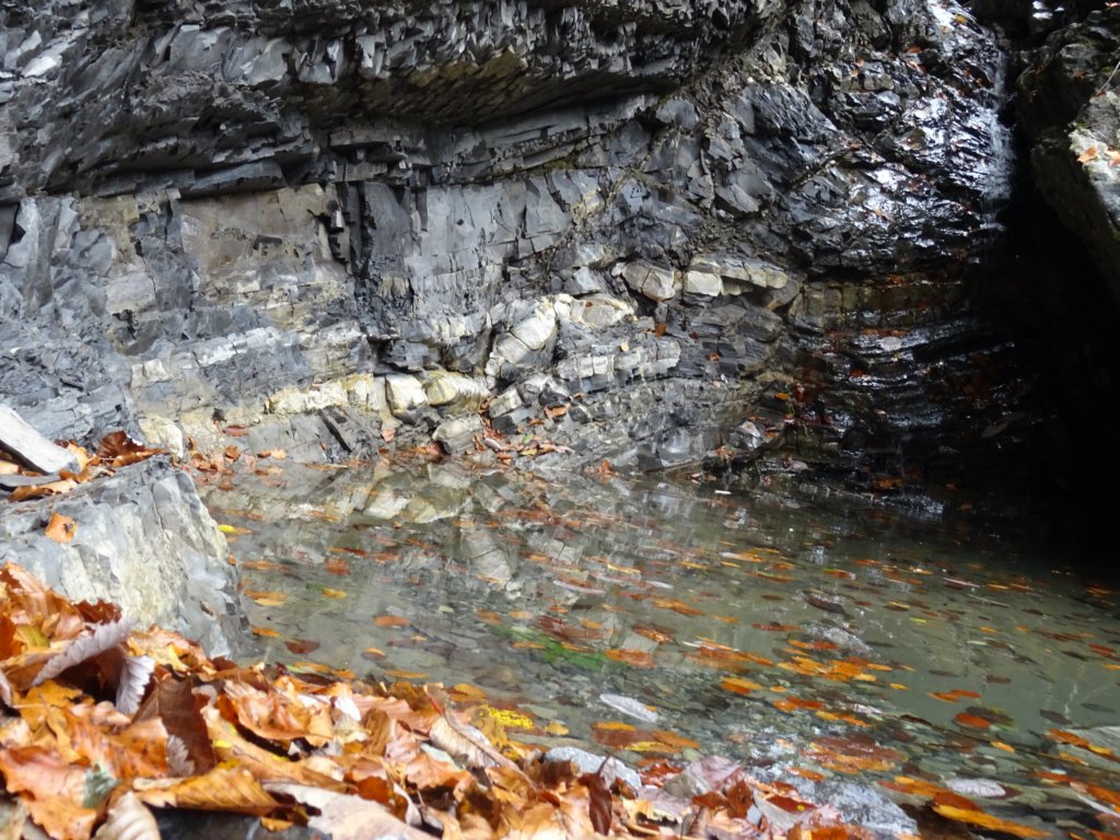 kraljevskapica45.jpg