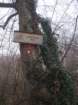 lavrievapot31_small.jpg