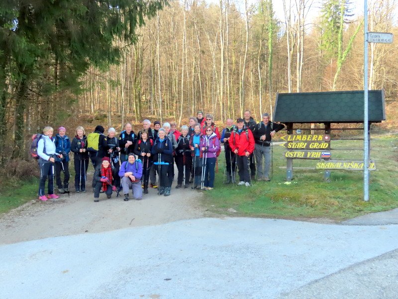 limberk20261.jpg