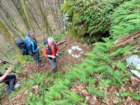 limberk202610_small.jpg