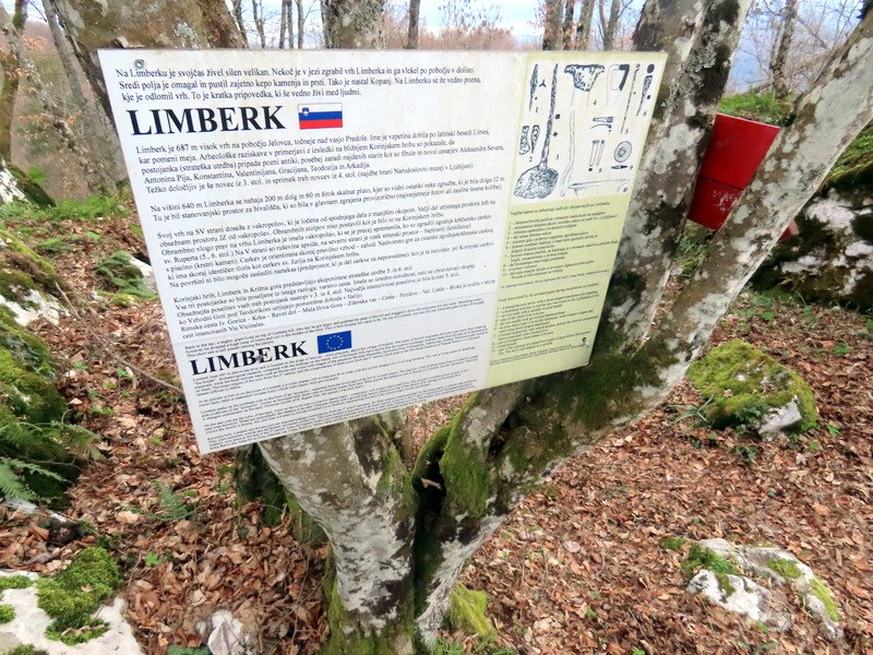 limberk202613.jpg
