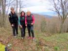 limberk202615_small.jpg