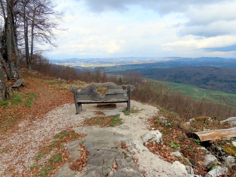 limberk202618.jpg