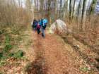 limberk202620_small.jpg