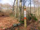 limberk20262_small.jpg