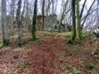 limberk20264_small.jpg