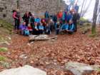 limberk20266_small.jpg