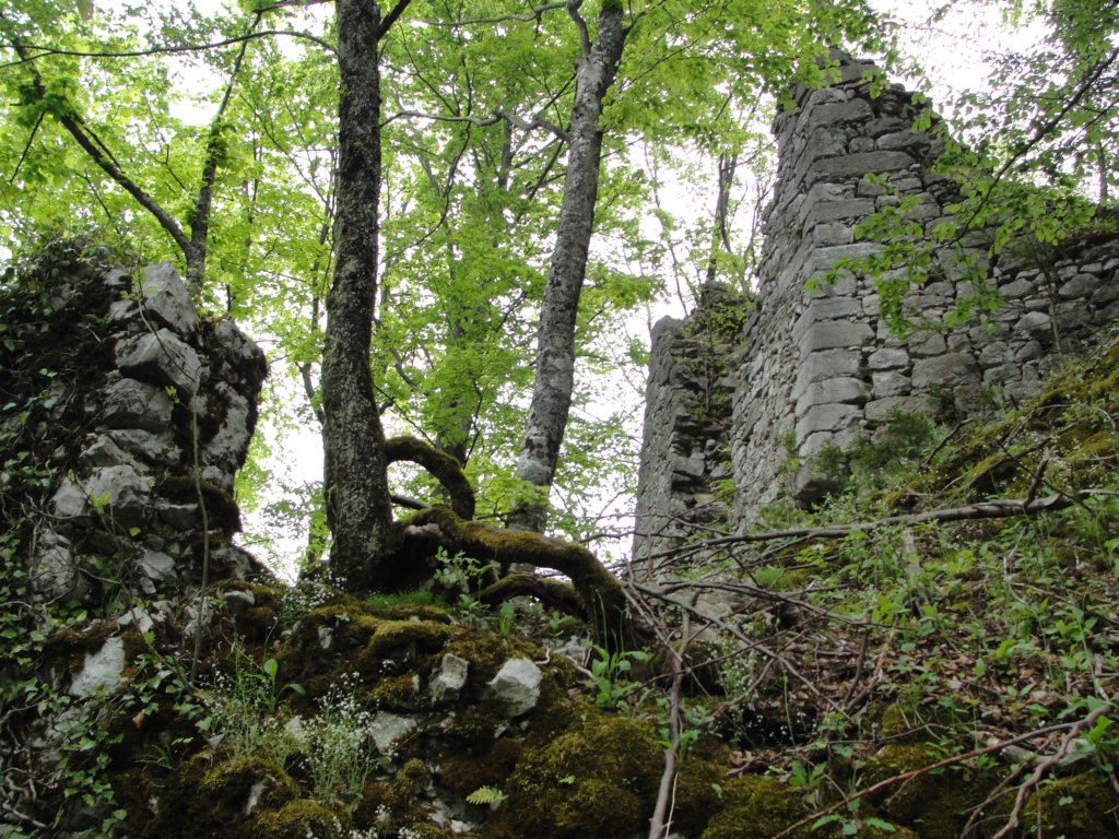 limberk12.jpg
