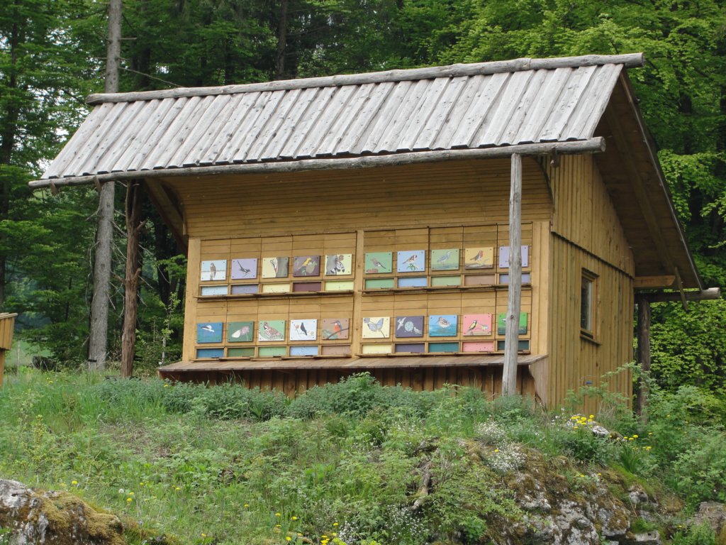 limberk51.jpg