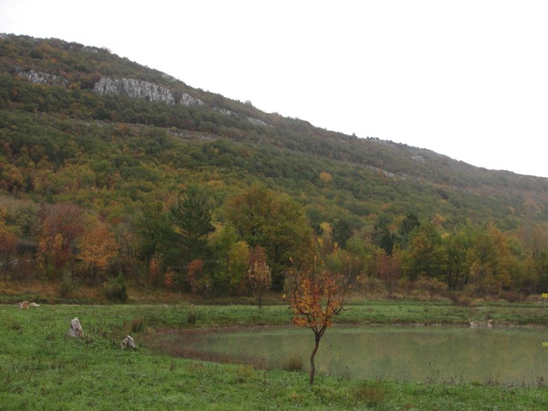 lipnik2.jpg