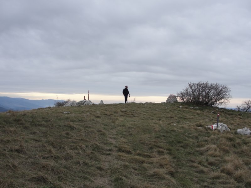 lipnik35.jpg