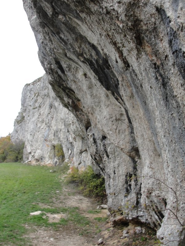 lipnik44.jpg