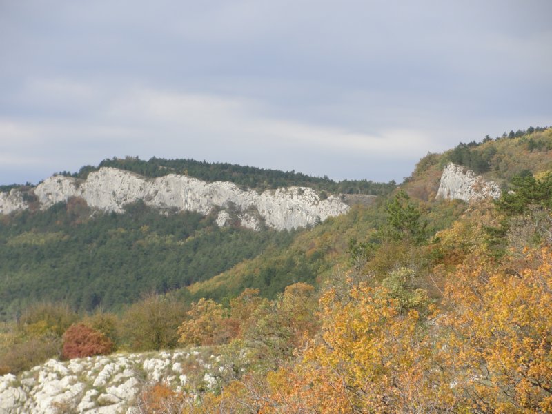 lipnik51.jpg
