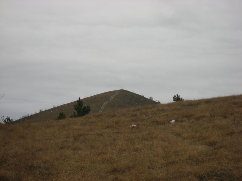 lipnik55.jpg
