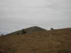 lipnik55_small.jpg