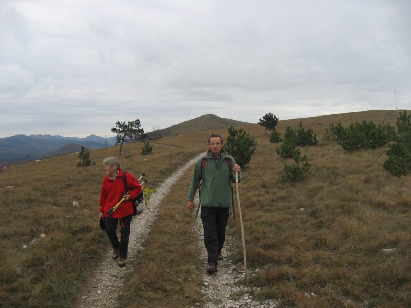 lipnik57.jpg