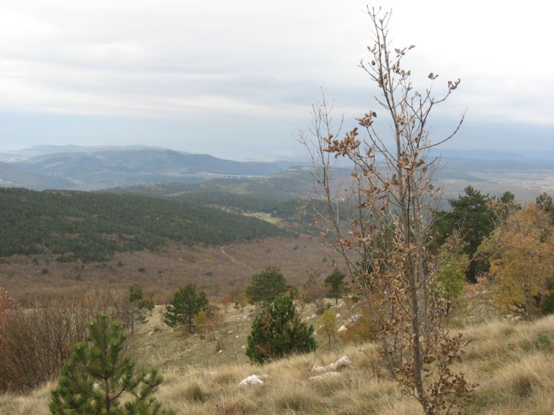 lipnik65.jpg