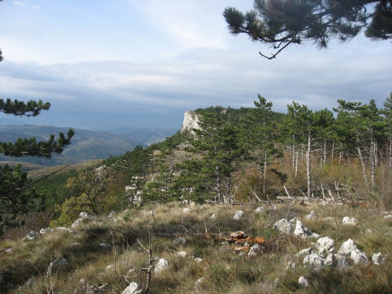 lipnik68.jpg
