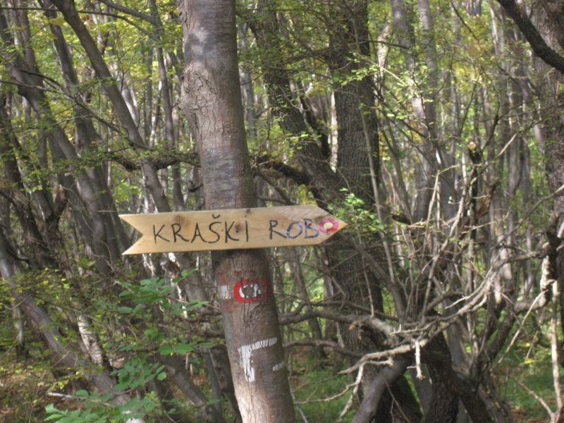 lipnik69.jpg