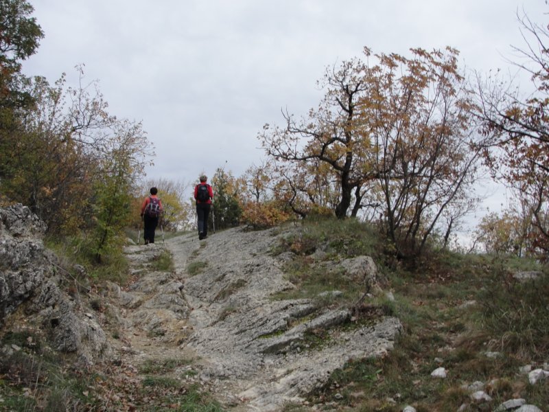 lipnik8.jpg