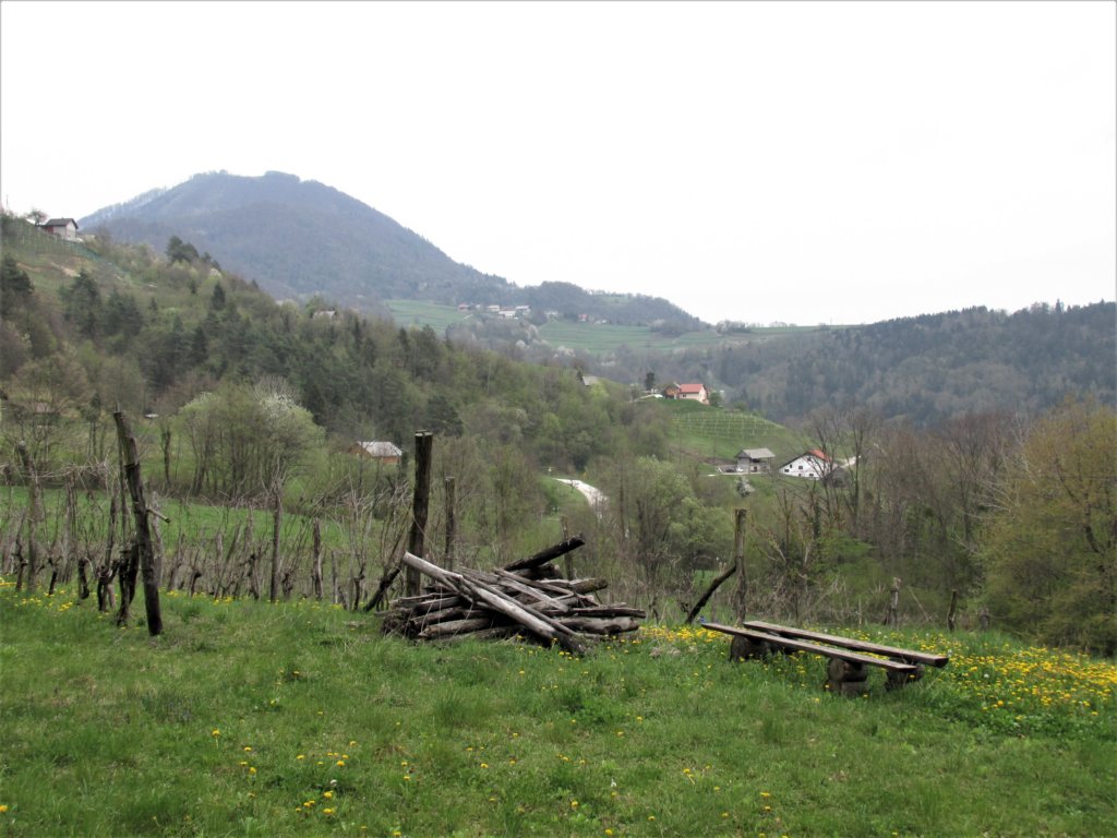 lisca201928.jpg