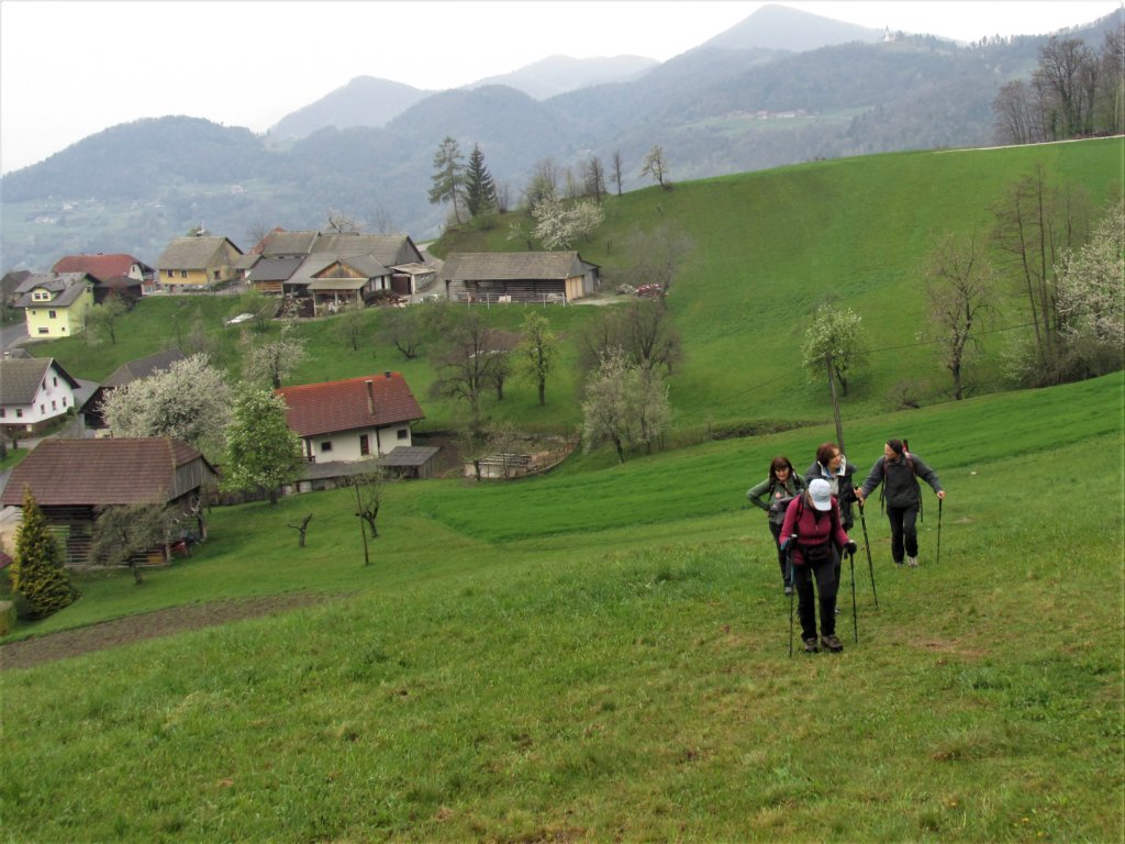 lisca20196.jpg