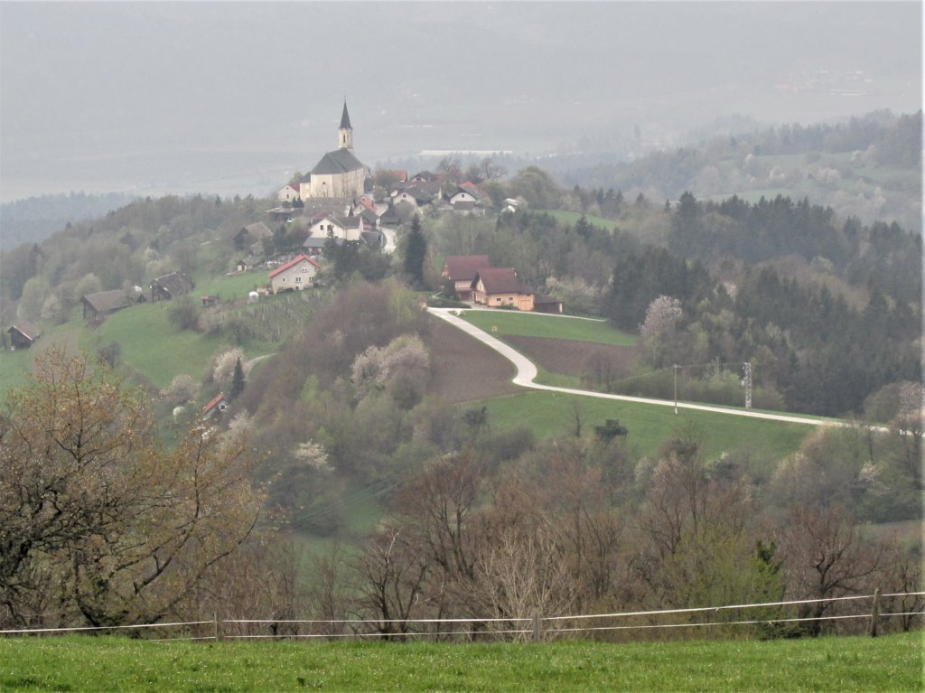 lisca20198.jpg