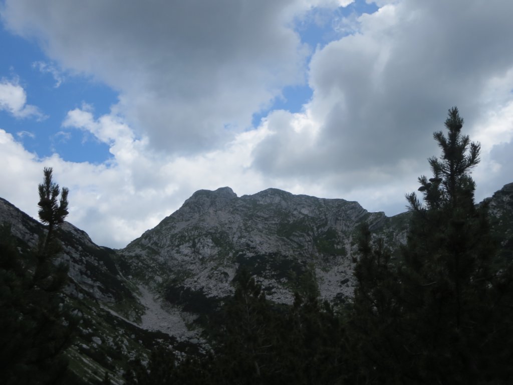 lopi35.jpg