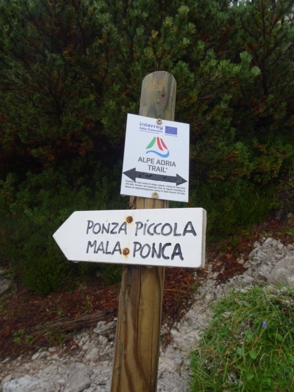malaponca30.jpg