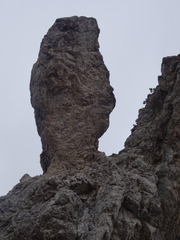 malaponca34.jpg