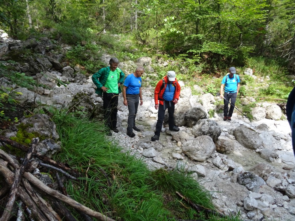 malaponca38.jpg