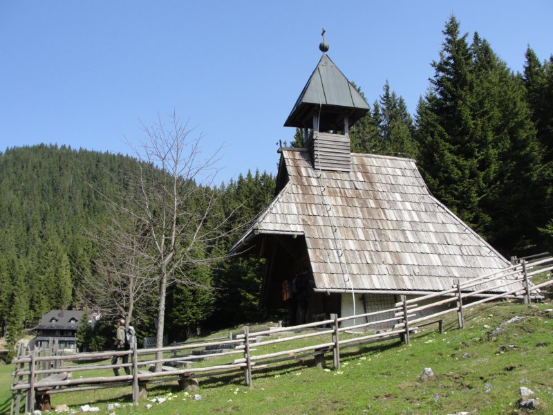 medvedjak71.jpg