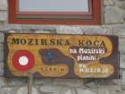 medvedjak75_small.jpg