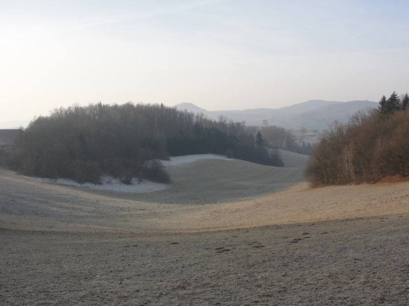 medvedjek10.jpg