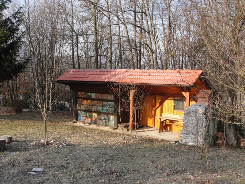 medvedjek14.jpg