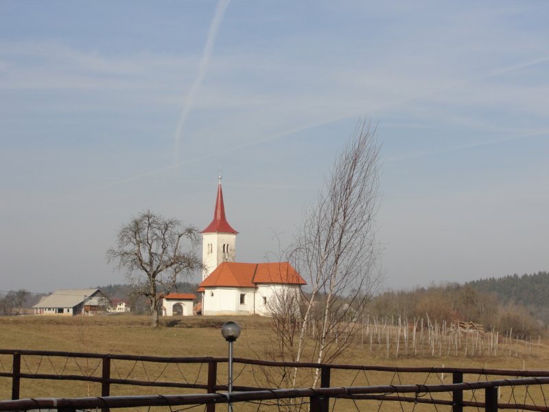 medvedjek44.jpg