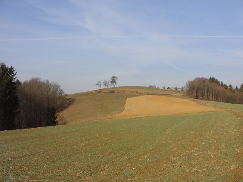 medvedjek48.jpg