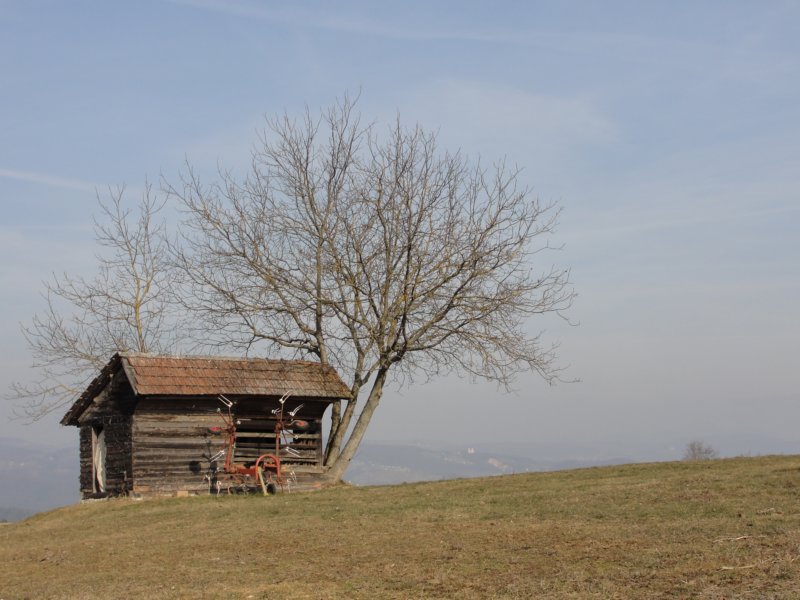 medvedjek49.jpg