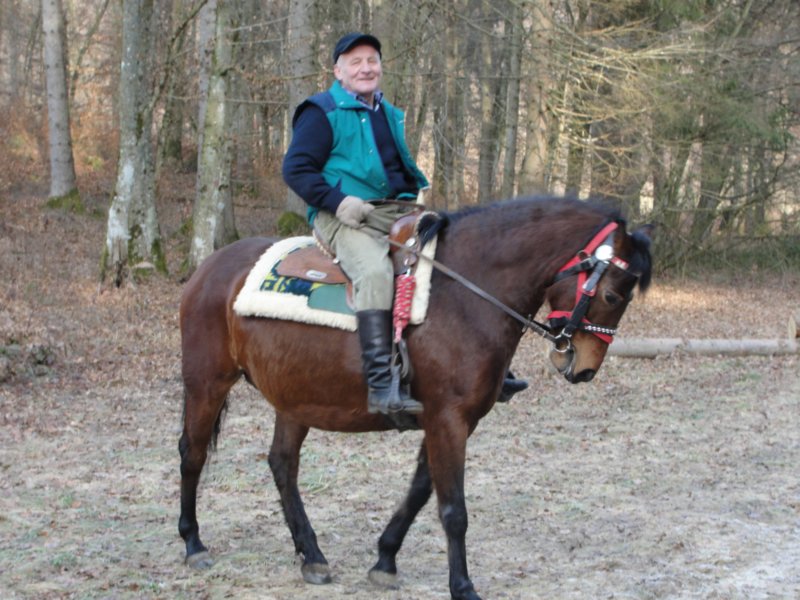 medvedjek56.jpg
