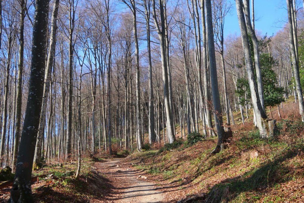 mirnagora202510.jpg