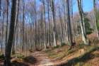mirnagora202510_small.jpg