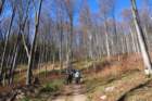 mirnagora202511_small.jpg