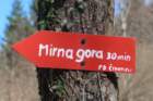 mirnagora202514_small.jpg